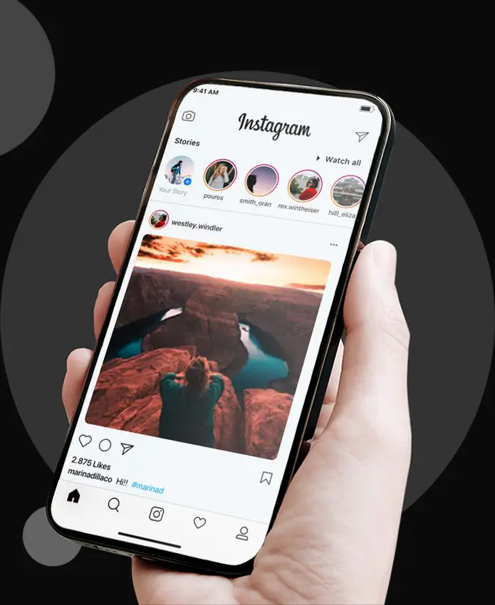 vivosocia